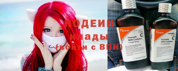 прущие крисы Вяземский