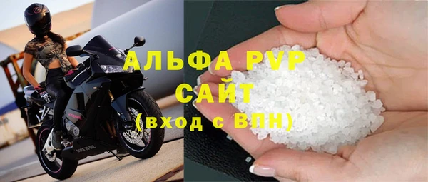сатива Вязьма