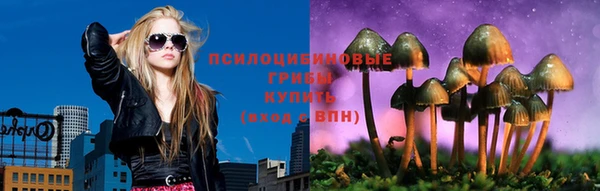 амф Вязники