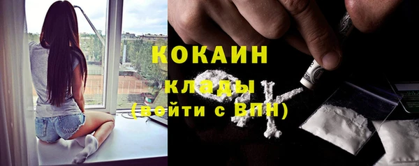 прущие крисы Вяземский