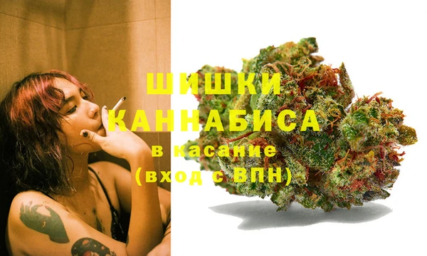 прущие крисы Вяземский