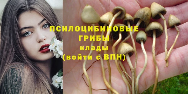 амф Вязники