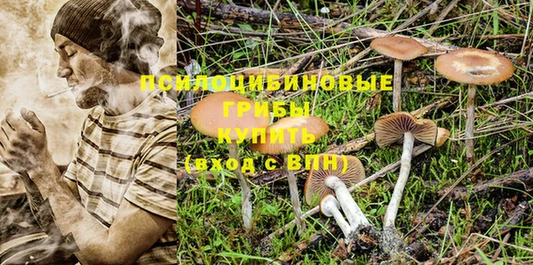амф Вязники