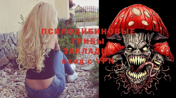 прущие крисы Вяземский