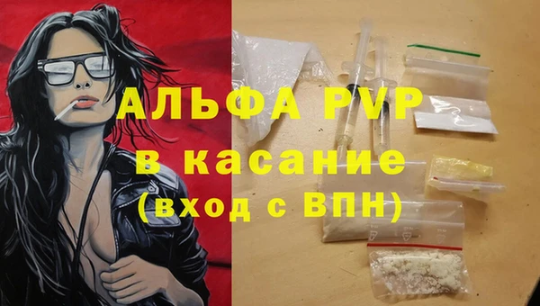 сатива Вязьма