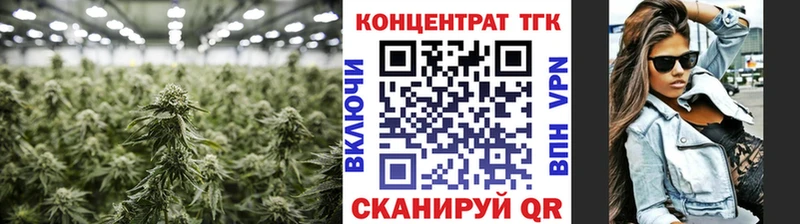 ТГК концентрат  Купить закладки  Удачный 