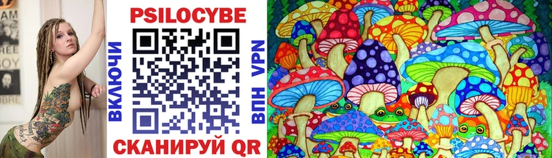 Купить где  Удачный  Галлюциногенные грибы мицелий 